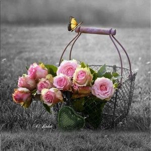 Meet your Posher, Eliane